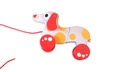 Pull Along Dog